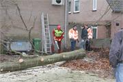 3.NLdoet160313 055